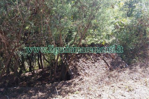 Helårsgrund i Savona, Savona, Savona - € 20.000 | Ref: 1156 - foto 7