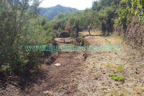 Helårsgrund i Savona, Savona, Savona - € 20.000 | Ref: 1156 - foto 8