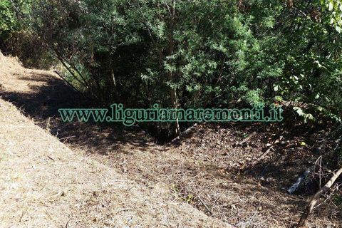 Helårsgrund i Savona, Savona, Savona - € 20.000 | Ref: 1156 - foto 9