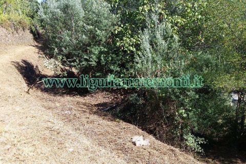 Helårsgrund i Savona, Savona, Savona - € 20.000 | Ref: 1156 - foto 10
