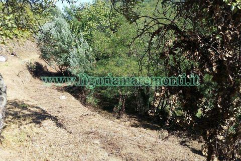 Helårsgrund i Savona, Savona, Savona - € 20.000 | Ref: 1156 - foto 11