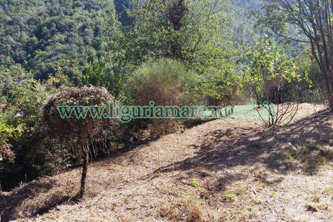 Helårsgrund i Savona, Savona, Savona - € 20.000 | Ref: 1156 - foto 12