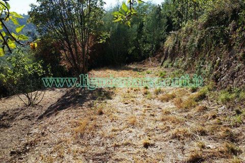 Helårsgrund i Savona, Savona, Savona - € 20.000 | Ref: 1156 - foto 14