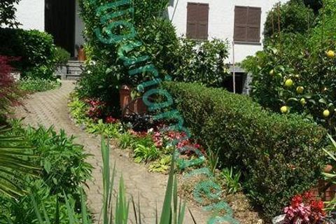 Haus in Millesimo, Savona, Millesimo - € 369.000 | Ref: 1738 - Foto 2