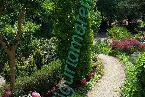 Haus in Millesimo, Savona, Millesimo - € 369.000 | Ref: 1738 - Foto 4