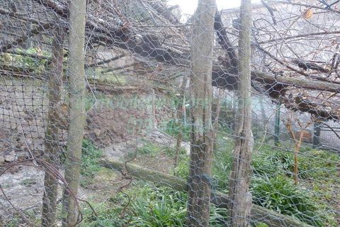 Villa i Savona, Savona, Savona - € 105.000 | Ref: 4003 - foto 40