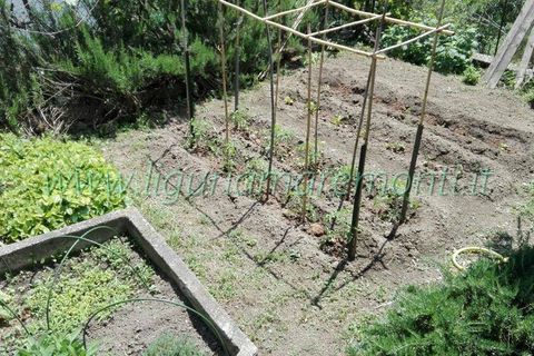 Rækkehus i Dego, Savona, Dego - € 95.000 | Ref: 4032 - foto 4