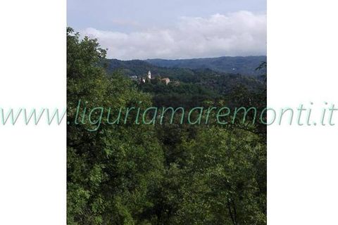 Rækkehus i Dego, Savona, Dego - € 95.000 | Ref: 4032 - foto 15