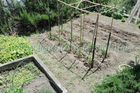 Rækkehus i Dego, Savona, Dego - € 95.000 | Ref: 4032 - foto 20