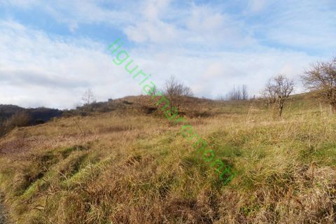 Landejendom i Mioglia, Savona, Mioglia - € 26.000 | Ref: 4063 - foto 5