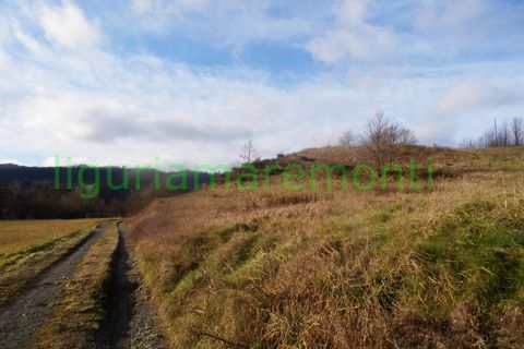 Landejendom i Mioglia, Savona, Mioglia - € 26.000 | Ref: 4063 - foto 6