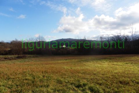 Landejendom i Mioglia, Savona, Mioglia - € 26.000 | Ref: 4063 - foto 7