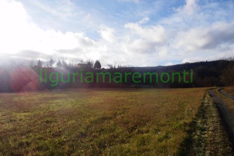 Landejendom i Mioglia, Savona, Mioglia - € 26.000 | Ref: 4063 - foto 9