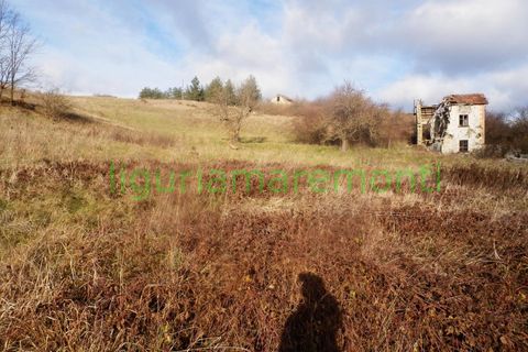 Landejendom i Mioglia, Savona, Mioglia - € 26.000 | Ref: 4063 - foto 11