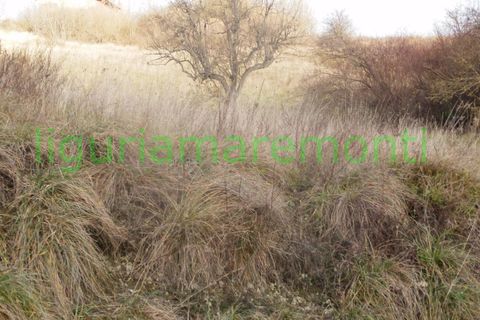Landejendom i Mioglia, Savona, Mioglia - € 26.000 | Ref: 4063 - foto 13