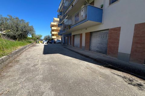 Erhvervsejendom i Vasto, Chieti, Vasto - € 205.000 | Ref: 4245 - foto 10