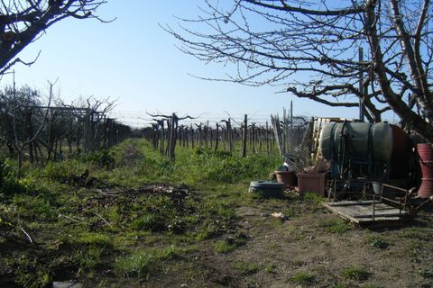 Villa a Pollutri, Chieti, Pollutri - € 275.000 | Ref: 4009 - foto 3