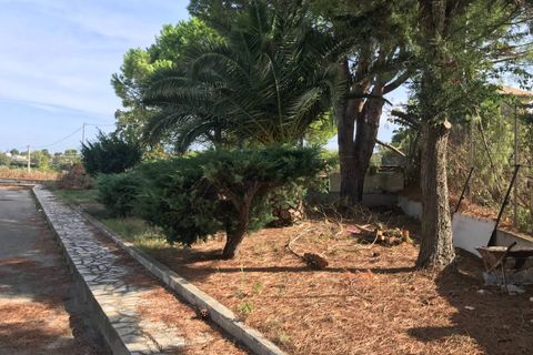 Erhvervsejendom i Vasto, Chieti, Vasto - € 248.000 | Ref: 4969 - foto 13
