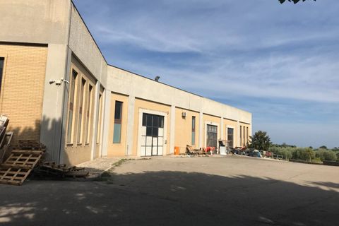 Erhvervsejendom i Vasto, Chieti, Vasto - € 248.000 | Ref: 4969 - foto 14