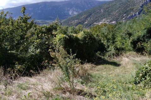 Haus in Lettopalena, Chieti, Lettopalena - € 10.000 | Ref: 5083 - Foto 3