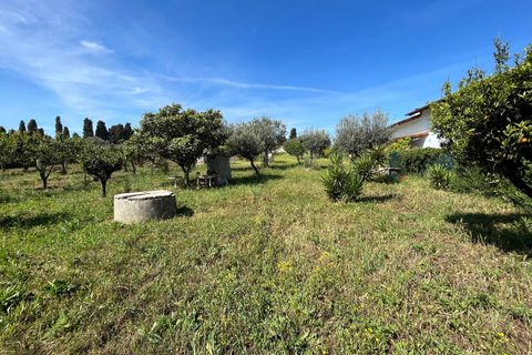 Villa a Vasto, Chieti, Vasto - € 120.000 | Ref: 5182 - foto 32