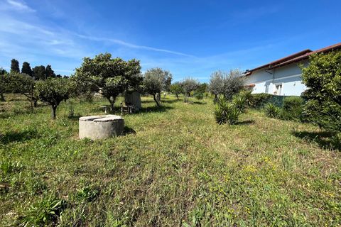 Villa a Vasto, Chieti, Vasto - € 120.000 | Ref: 5182 - foto 33