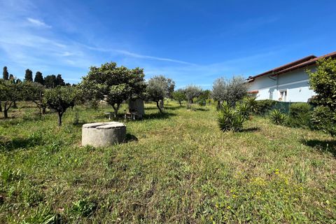 Villa a Vasto, Chieti, Vasto - € 120.000 | Ref: 5182 - foto 34