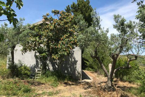 Masia a Pollutri, Chieti, Pollutri - € 50.000 | Ref: 5124 - foto 12
