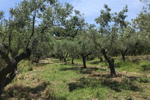 Masia a Pollutri, Chieti, Pollutri - € 50.000 | Ref: 5124 - foto 13