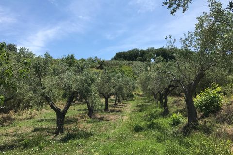 Masia a Pollutri, Chieti, Pollutri - € 50.000 | Ref: 5124 - foto 16