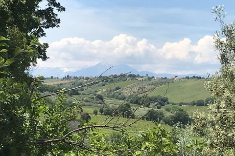 Masia a Pollutri, Chieti, Pollutri - € 50.000 | Ref: 5124 - foto 17