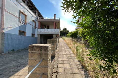 Erhvervsejendom i Vasto, Chieti, Vasto - € 990.000 | Ref: 5192 - foto 20