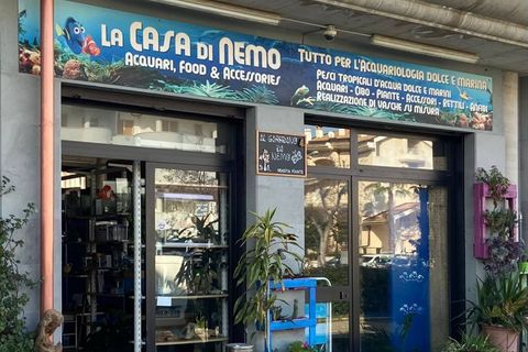 Erhvervsejendom i Vasto, Chieti, Vasto - € 113.000 | Ref: 5209 - foto 2