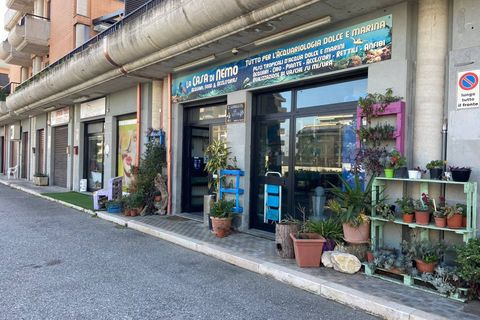 Erhvervsejendom i Vasto, Chieti, Vasto - € 113.000 | Ref: 5209 - foto 3