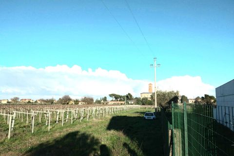 Villa i Casalbordino, Chieti, Casalbordino - € 260.000 | Ref: 5225 - foto 8