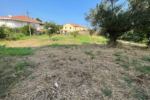 Villa i Vasto, Chieti, Vasto - € 350.000 | Ref: 5248 - foto 34