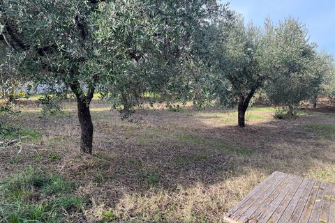 Helårsgrund i Vasto, Chieti, Vasto - € 90.000 | Ref: 5267 - foto 2