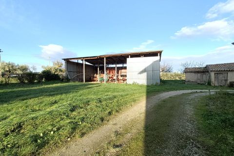 Landejendom i Treia, Macerata, Treia - € 130.000 | Ref: V206 - foto 4