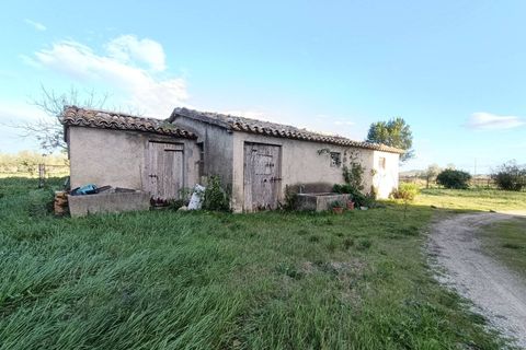 Landejendom i Treia, Macerata, Treia - € 130.000 | Ref: V206 - foto 5