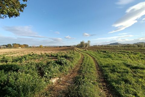 Landejendom i Treia, Macerata, Treia - € 130.000 | Ref: V206 - foto 19