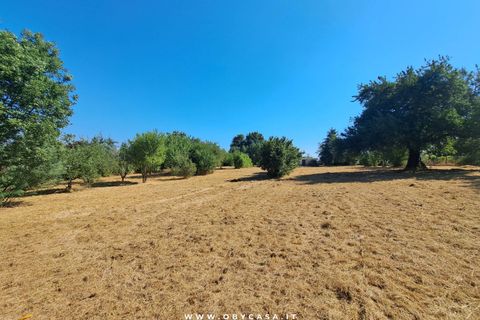 Villa i Bassano Romano, Viterbo, Bassano Romano - € 27.000 | Ref: Bassano 27.000 - foto 6