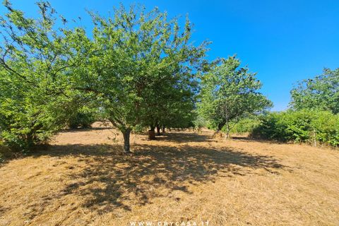 Villa i Bassano Romano, Viterbo, Bassano Romano - € 27.000 | Ref: Bassano 27.000 - foto 11