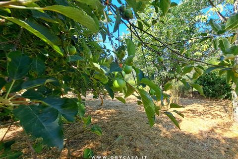 Villa i Bassano Romano, Viterbo, Bassano Romano - € 27.000 | Ref: Bassano 27.000 - foto 12