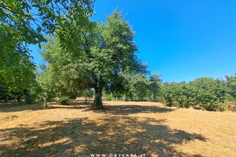 Villa i Bassano Romano, Viterbo, Bassano Romano - € 27.000 | Ref: Bassano 27.000 - foto 13