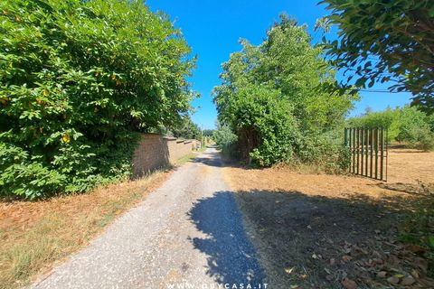 Villa i Bassano Romano, Viterbo, Bassano Romano - € 27.000 | Ref: Bassano 27.000 - foto 15