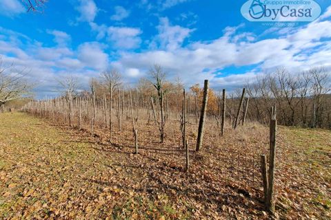 Helårsgrund i Oriolo Romano, Viterbo, Oriolo Romano - € 25.000 | Ref: Oriolo 25.000 - foto 1