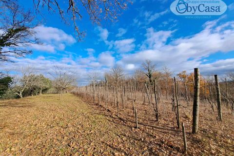 Helårsgrund i Oriolo Romano, Viterbo, Oriolo Romano - € 25.000 | Ref: Oriolo 25.000 - foto 2