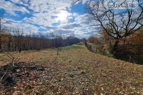 Helårsgrund i Oriolo Romano, Viterbo, Oriolo Romano - € 25.000 | Ref: Oriolo 25.000 - foto 3