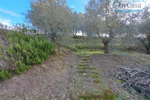 Helårsgrund i Oriolo Romano, Viterbo, Oriolo Romano - € 25.000 | Ref: Oriolo 25.000 - foto 4