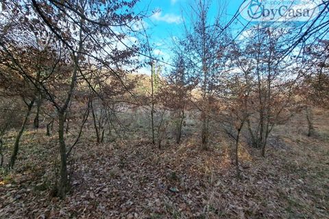 Helårsgrund i Oriolo Romano, Viterbo, Oriolo Romano - € 25.000 | Ref: Oriolo 25.000 - foto 8
